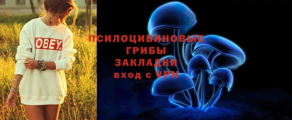 мдма Богданович