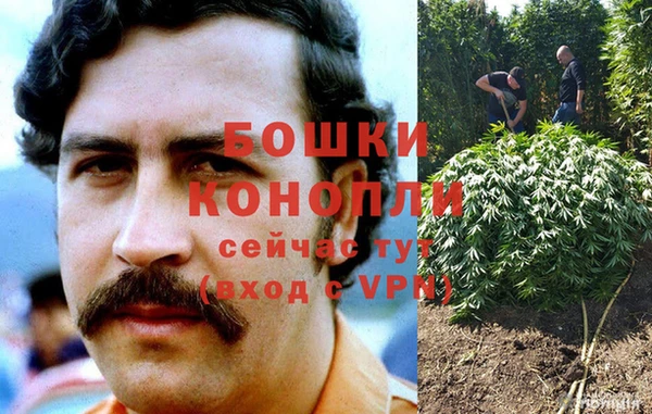 спайс Богородицк
