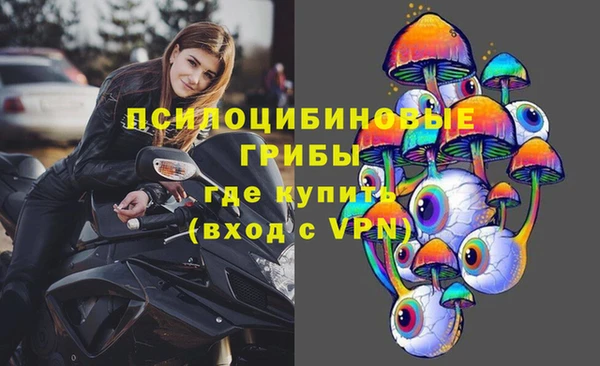 герыч Богородск