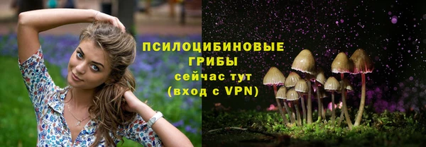 герыч Богородск