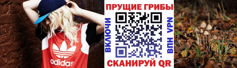 наркошоп мега ONION Псилоцибиновые грибы Magic Shrooms Котовск